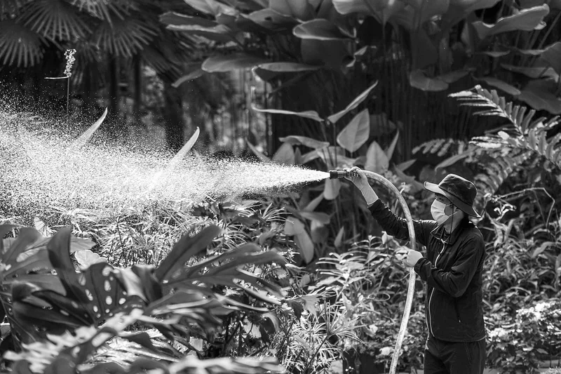 L'arrosage malin : comment économiser l'eau sans sacrifier vos plantes